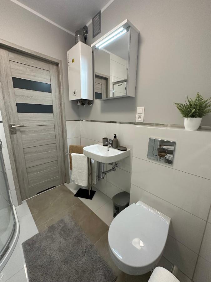 Apartament Przy Cieplickich Tezniach イェレニャ・グーラ エクステリア 写真